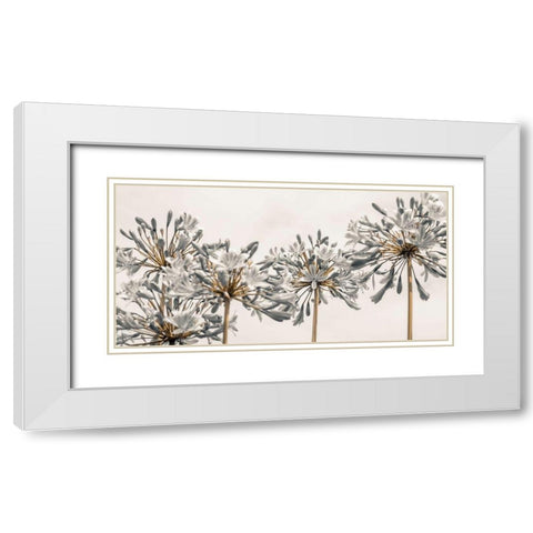 African Lily II White Modern Wood Framed Art Print with Double Matting by Frank, Assaf