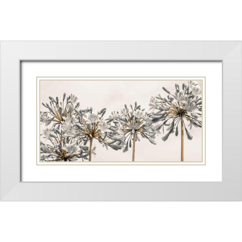 African Lily II White Modern Wood Framed Art Print with Double Matting by Frank, Assaf