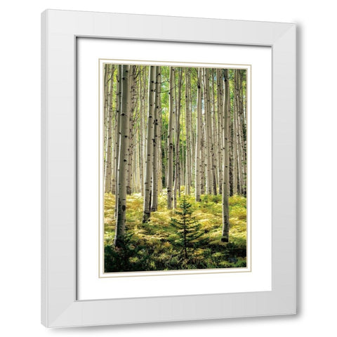 Small and Tall White Modern Wood Framed Art Print with Double Matting by Small and Tall