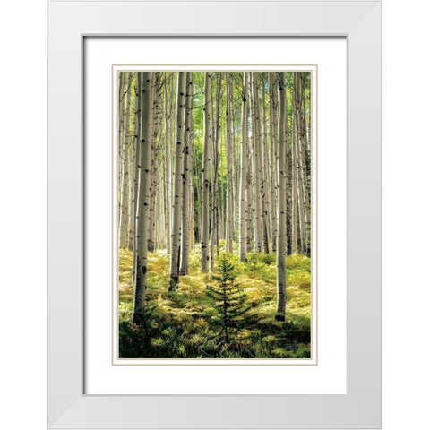 Small and Tall White Modern Wood Framed Art Print with Double Matting by Small and Tall