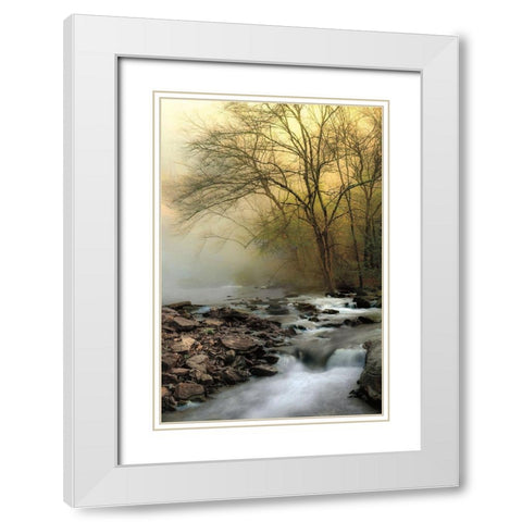 One Spring Morning White Modern Wood Framed Art Print with Double Matting by Burt, D.