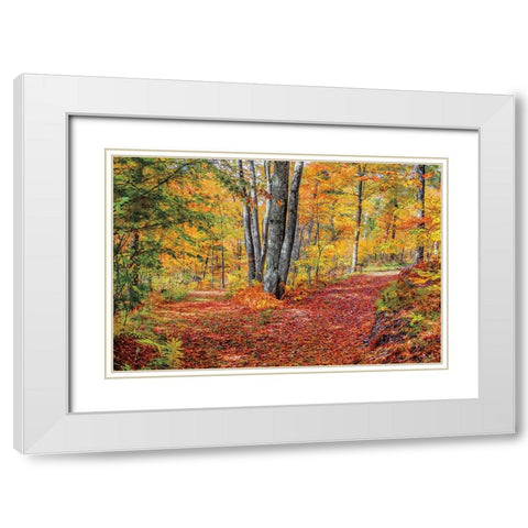 Full Path White Modern Wood Framed Art Print with Double Matting by Howarth, Gail