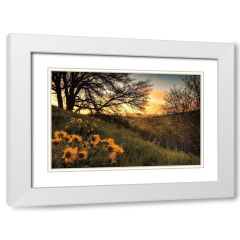 Sunrise Silhouette White Modern Wood Framed Art Print with Double Matting by Burt, D.