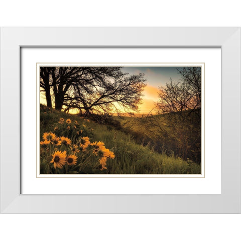 Sunrise Silhouette White Modern Wood Framed Art Print with Double Matting by Burt, D.