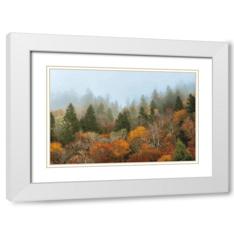 Autumn Mountain White Modern Wood Framed Art Print with Double Matting by Burt, D.