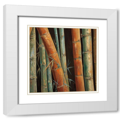 Caribbean Bamboo II White Modern Wood Framed Art Print with Double Matting by Quintero, Tita