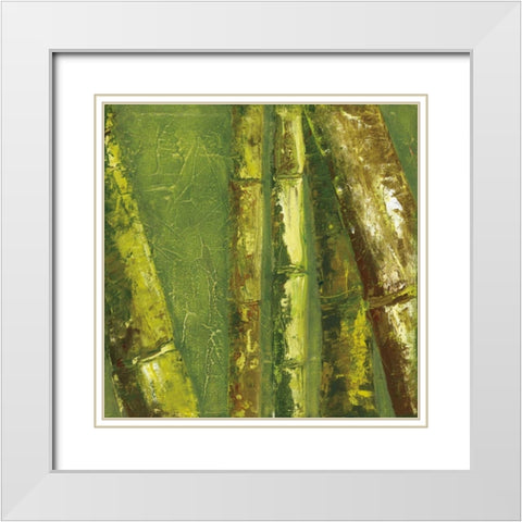 Bamboo Columbia I White Modern Wood Framed Art Print with Double Matting by Quintero, Tita