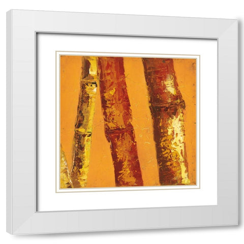 Bamboo Columbia II White Modern Wood Framed Art Print with Double Matting by Quintero, Tita