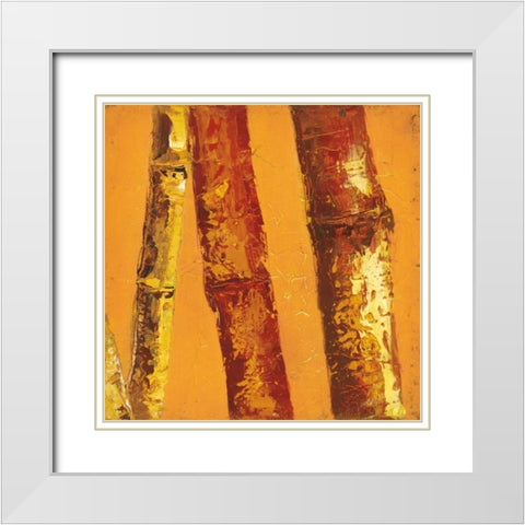 Bamboo Columbia II White Modern Wood Framed Art Print with Double Matting by Quintero, Tita