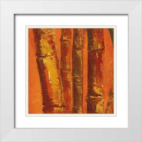 Bamboo Columbia III White Modern Wood Framed Art Print with Double Matting by Quintero, Tita