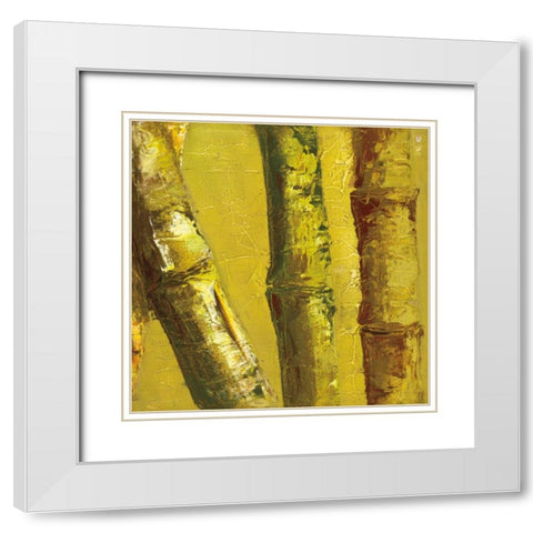 Bamboo Columbia IV White Modern Wood Framed Art Print with Double Matting by Quintero, Tita