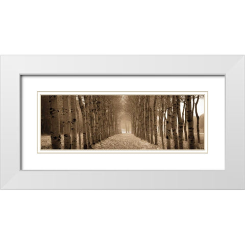 The Shimmering Forest White Modern Wood Framed Art Print with Double Matting by Ross, Heather
