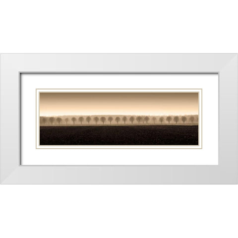 Dappled Morning Fields White Modern Wood Framed Art Print with Double Matting by Ross, Heather
