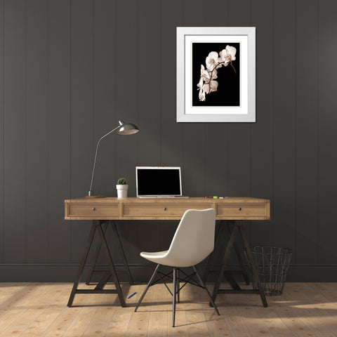 Orchid Dance II White Modern Wood Framed Art Print with Double Matting by Rehner, John