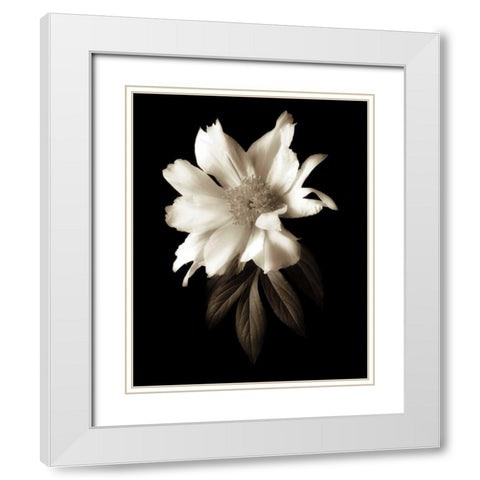 Portrait in White I White Modern Wood Framed Art Print with Double Matting by Rehner, John