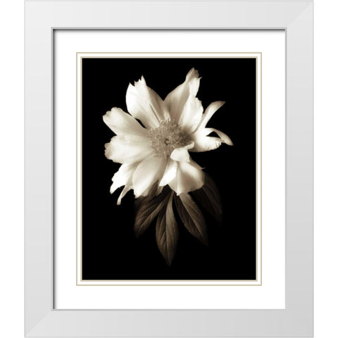 Portrait in White I White Modern Wood Framed Art Print with Double Matting by Rehner, John