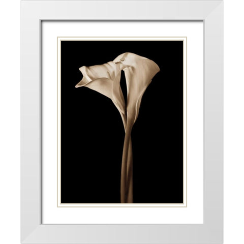 The Embrace White Modern Wood Framed Art Print with Double Matting by Rehner, John