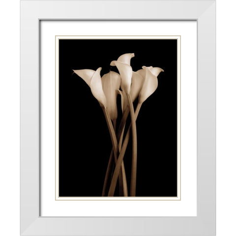The Gathering White Modern Wood Framed Art Print with Double Matting by Rehner, John