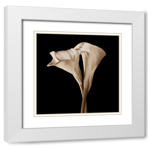 The Embrace White Modern Wood Framed Art Print with Double Matting by Rehner, John