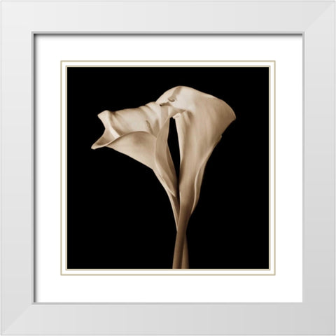 The Embrace White Modern Wood Framed Art Print with Double Matting by Rehner, John