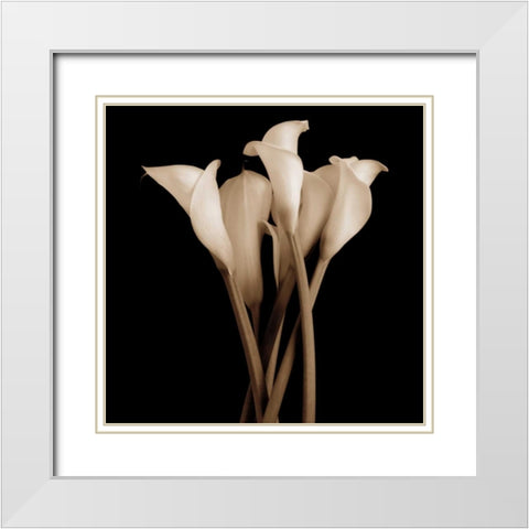The Gathering White Modern Wood Framed Art Print with Double Matting by Rehner, John