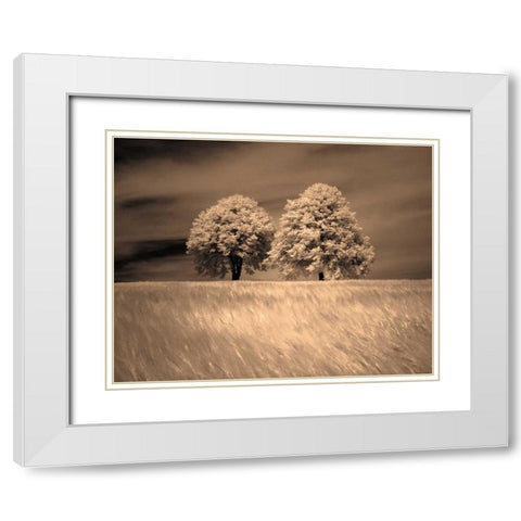 Together and Alone I White Modern Wood Framed Art Print with Double Matting by Szilagyi, Ily