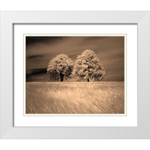 Together and Alone I White Modern Wood Framed Art Print with Double Matting by Szilagyi, Ily