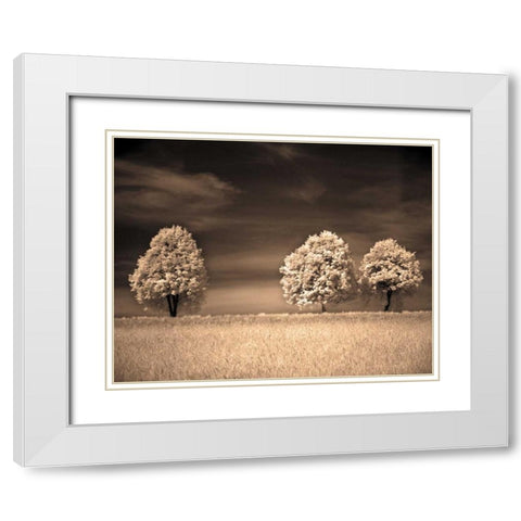 Together and Alone II White Modern Wood Framed Art Print with Double Matting by Szilagyi, Ily