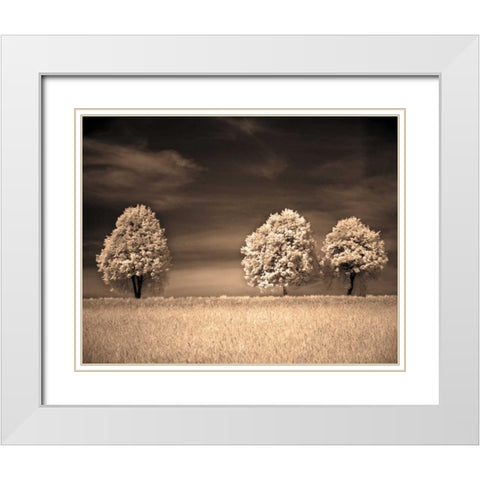 Together and Alone II White Modern Wood Framed Art Print with Double Matting by Szilagyi, Ily