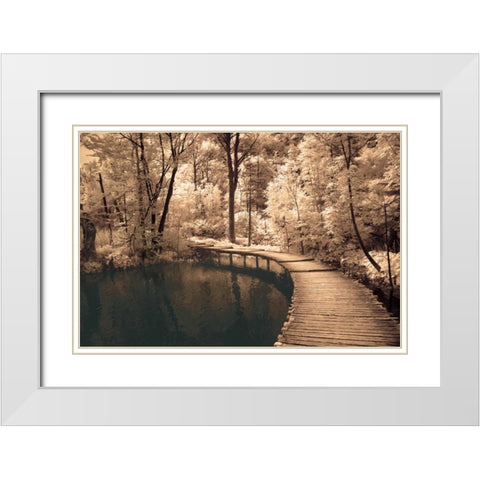 Take My Lead I White Modern Wood Framed Art Print with Double Matting by Szilagyi, Ily