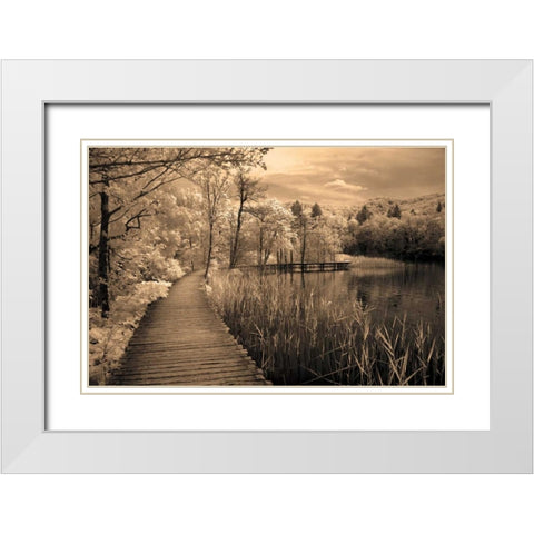 Take My Lead II White Modern Wood Framed Art Print with Double Matting by Szilagyi, Ily