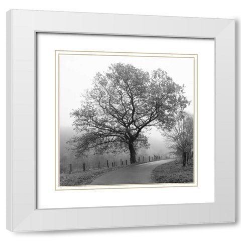Foggy Afternoon White Modern Wood Framed Art Print with Double Matting by Szilagyi, Ily