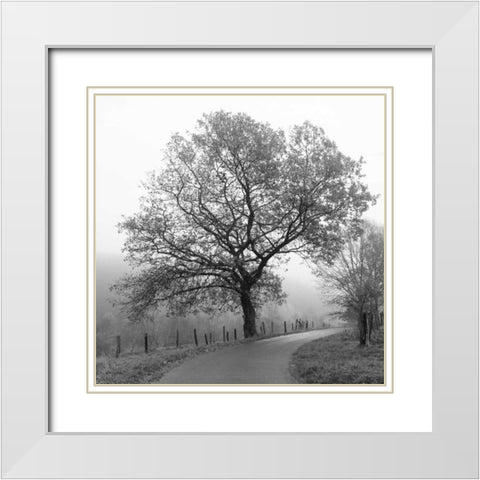 Foggy Afternoon White Modern Wood Framed Art Print with Double Matting by Szilagyi, Ily