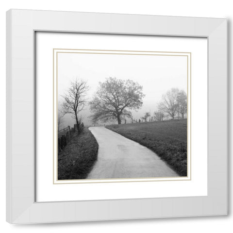 Foggy Afternoon White Modern Wood Framed Art Print with Double Matting by Szilagyi, Ily