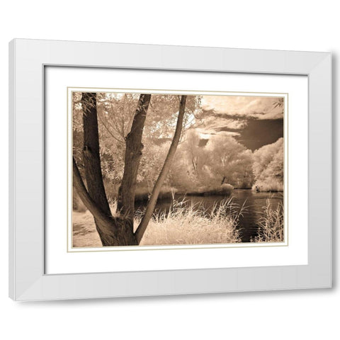 Lakefront View I White Modern Wood Framed Art Print with Double Matting by Szilagyi, Ily
