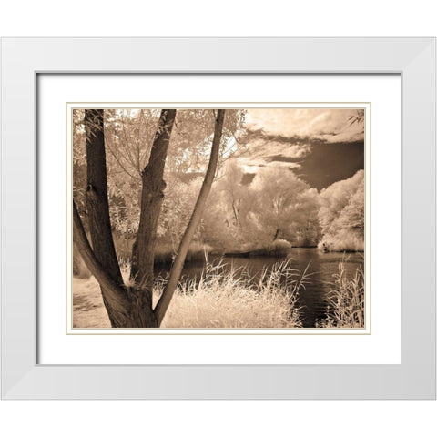 Lakefront View I White Modern Wood Framed Art Print with Double Matting by Szilagyi, Ily