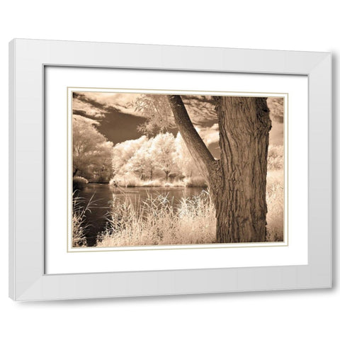 Lakefront View II White Modern Wood Framed Art Print with Double Matting by Szilagyi, Ily