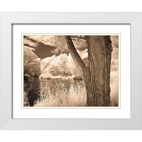 Lakefront View II White Modern Wood Framed Art Print with Double Matting by Szilagyi, Ily