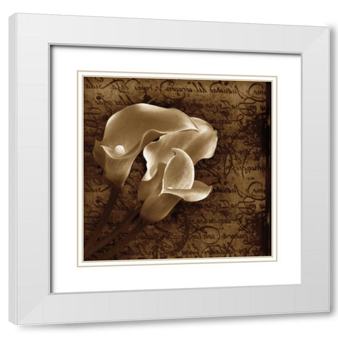 With Love II White Modern Wood Framed Art Print with Double Matting by Szilagyi, Ily