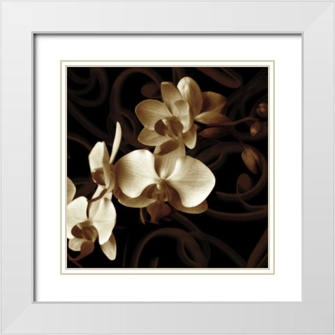 Grace White Modern Wood Framed Art Print with Double Matting by Szilagyi, Ily