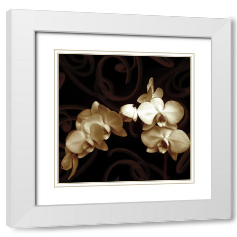 Elegance White Modern Wood Framed Art Print with Double Matting by Szilagyi, Ily