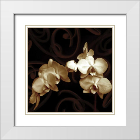 Elegance White Modern Wood Framed Art Print with Double Matting by Szilagyi, Ily