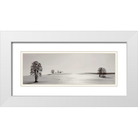 Clear On the Hillcrest White Modern Wood Framed Art Print with Double Matting by Szilagyi, Ily