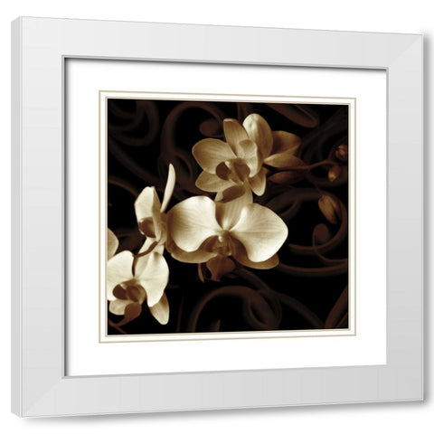 Grace White Modern Wood Framed Art Print with Double Matting by Szilagyi, Ily