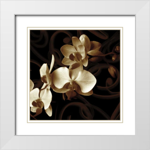 Grace White Modern Wood Framed Art Print with Double Matting by Szilagyi, Ily
