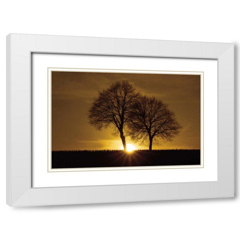 A New Beginning White Modern Wood Framed Art Print with Double Matting by Szilagyi, Ily