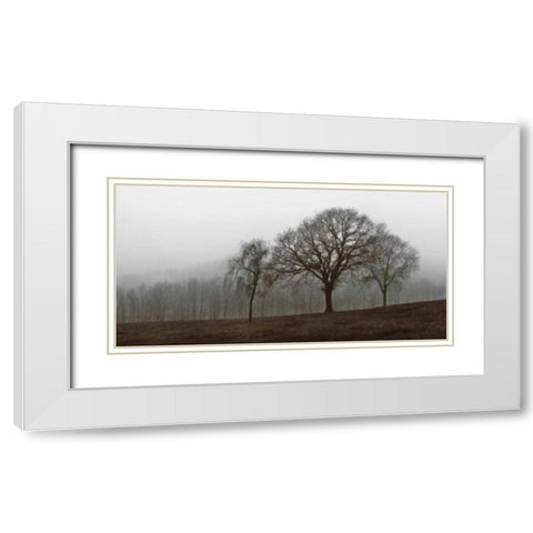 Autumn Fog White Modern Wood Framed Art Print with Double Matting by Szilagyi, Ily
