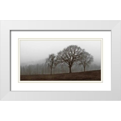 Autumn Fog White Modern Wood Framed Art Print with Double Matting by Szilagyi, Ily