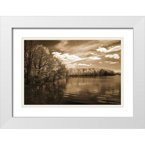 Natures Glory White Modern Wood Framed Art Print with Double Matting by Szilagyi, Ily