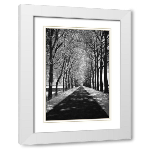 Follow Me White Modern Wood Framed Art Print with Double Matting by Szilagyi, Ily